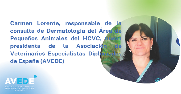 Carmen Lorente, nueva presidenta de la AVEDE